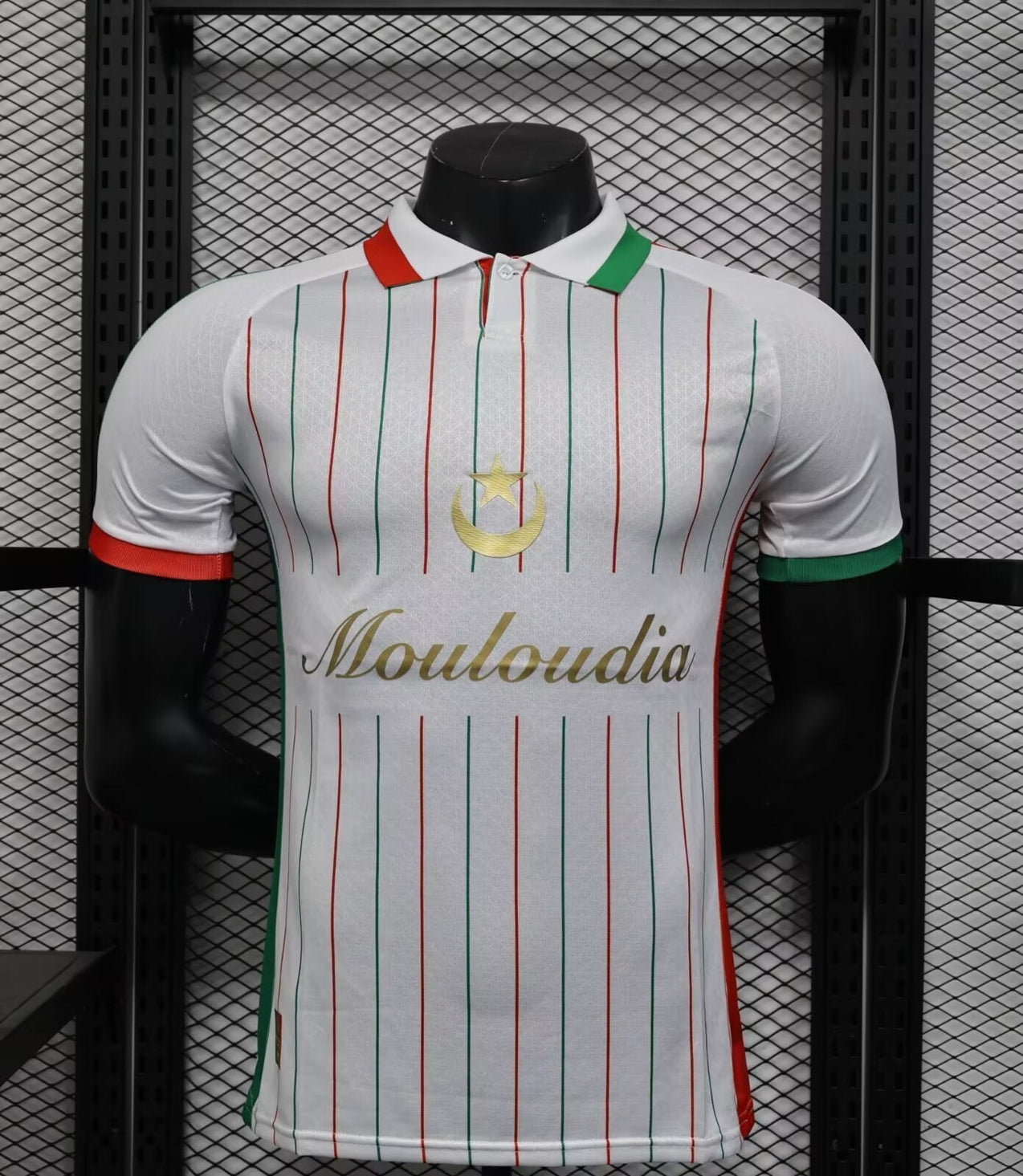 Palestine 25-26 white Player Version Malgane