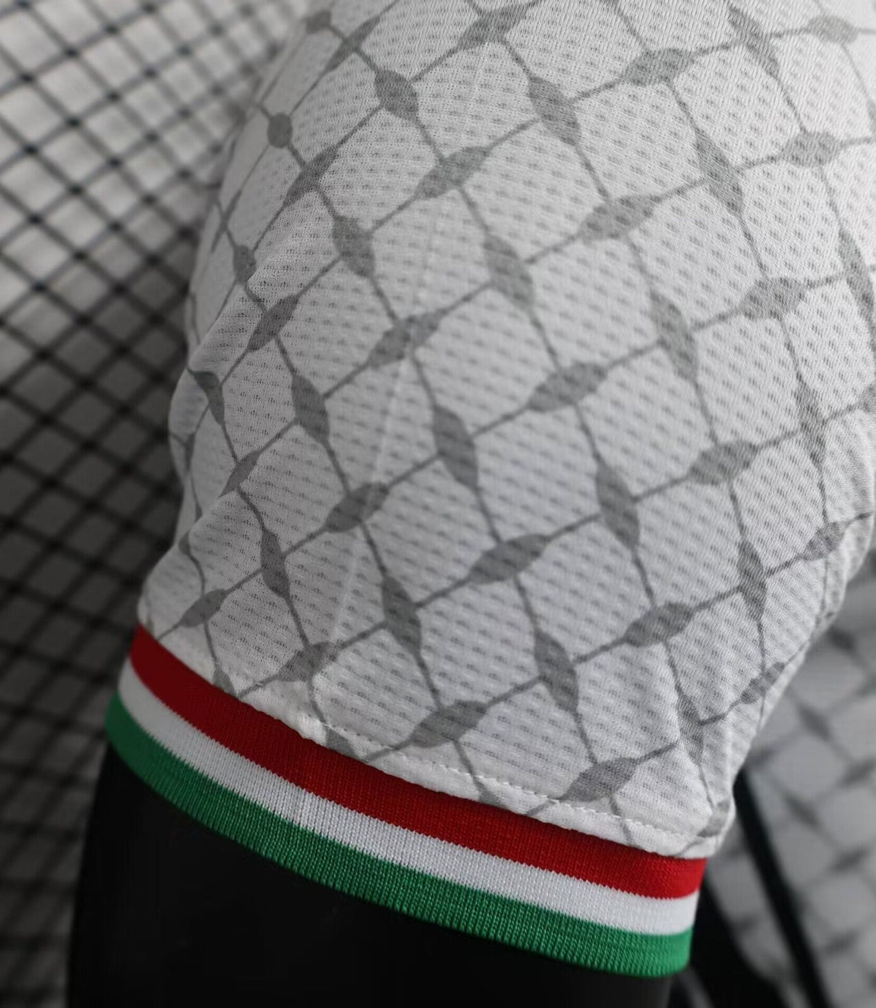 Palestine 24-25 white player version Malgane