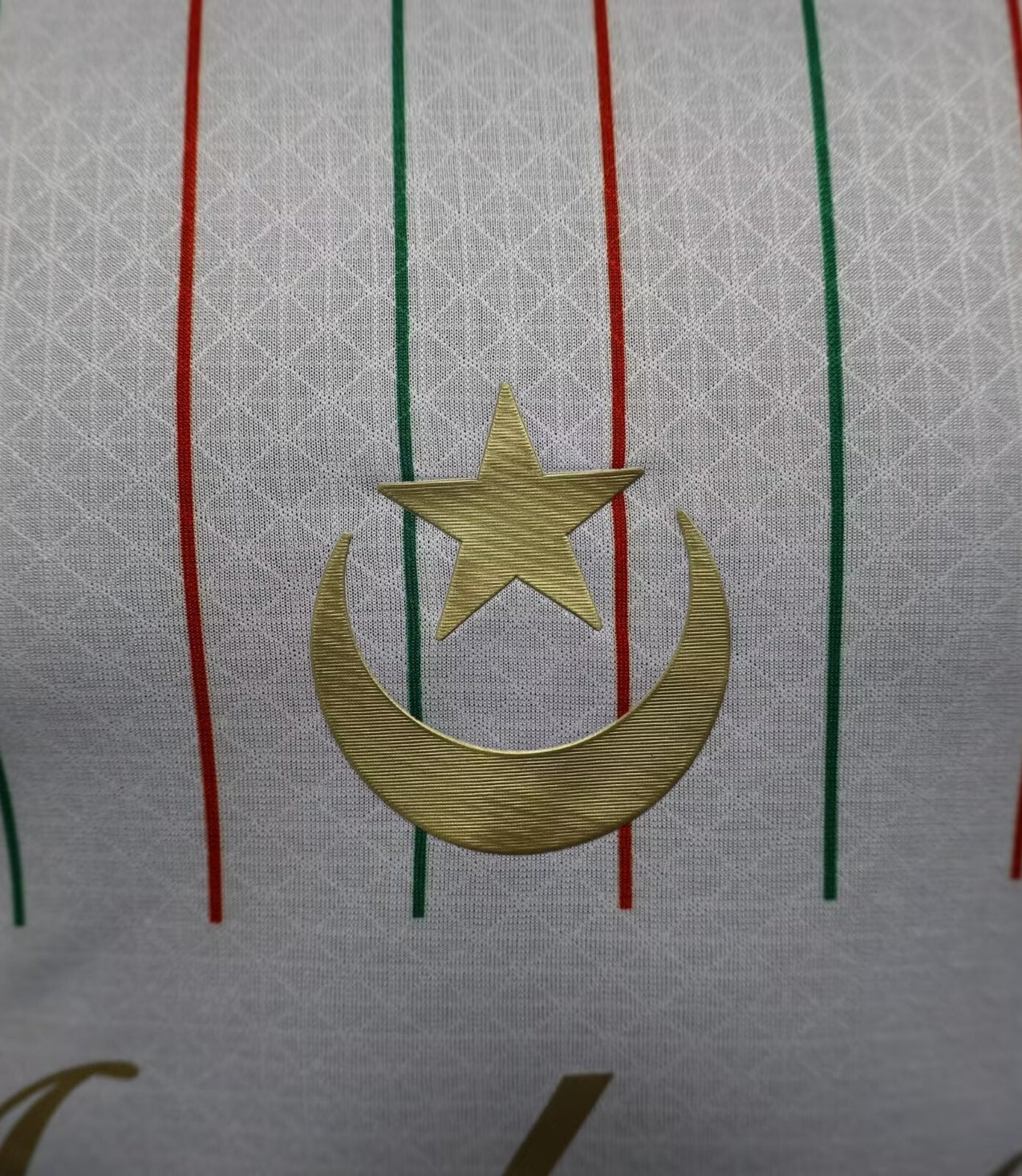 Palestine 25-26 white Player Version Malgane