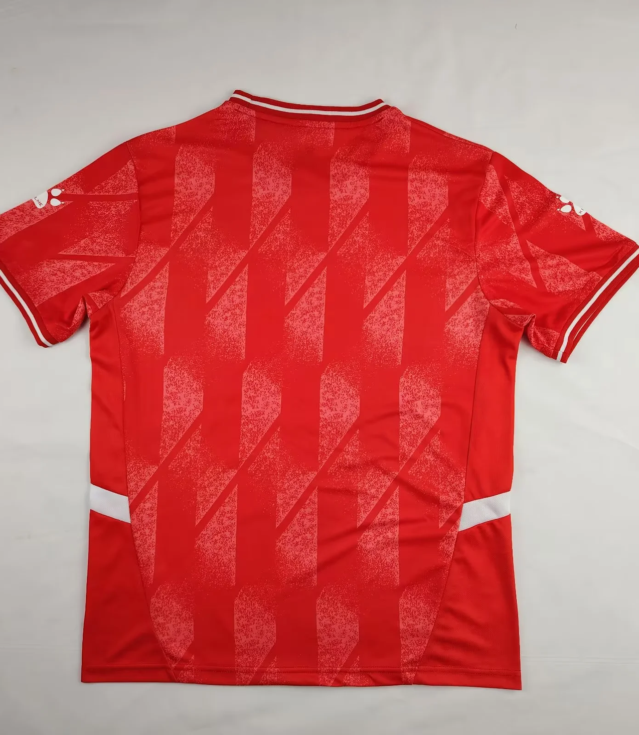 Palestine «Red» Specail Kit Malgane